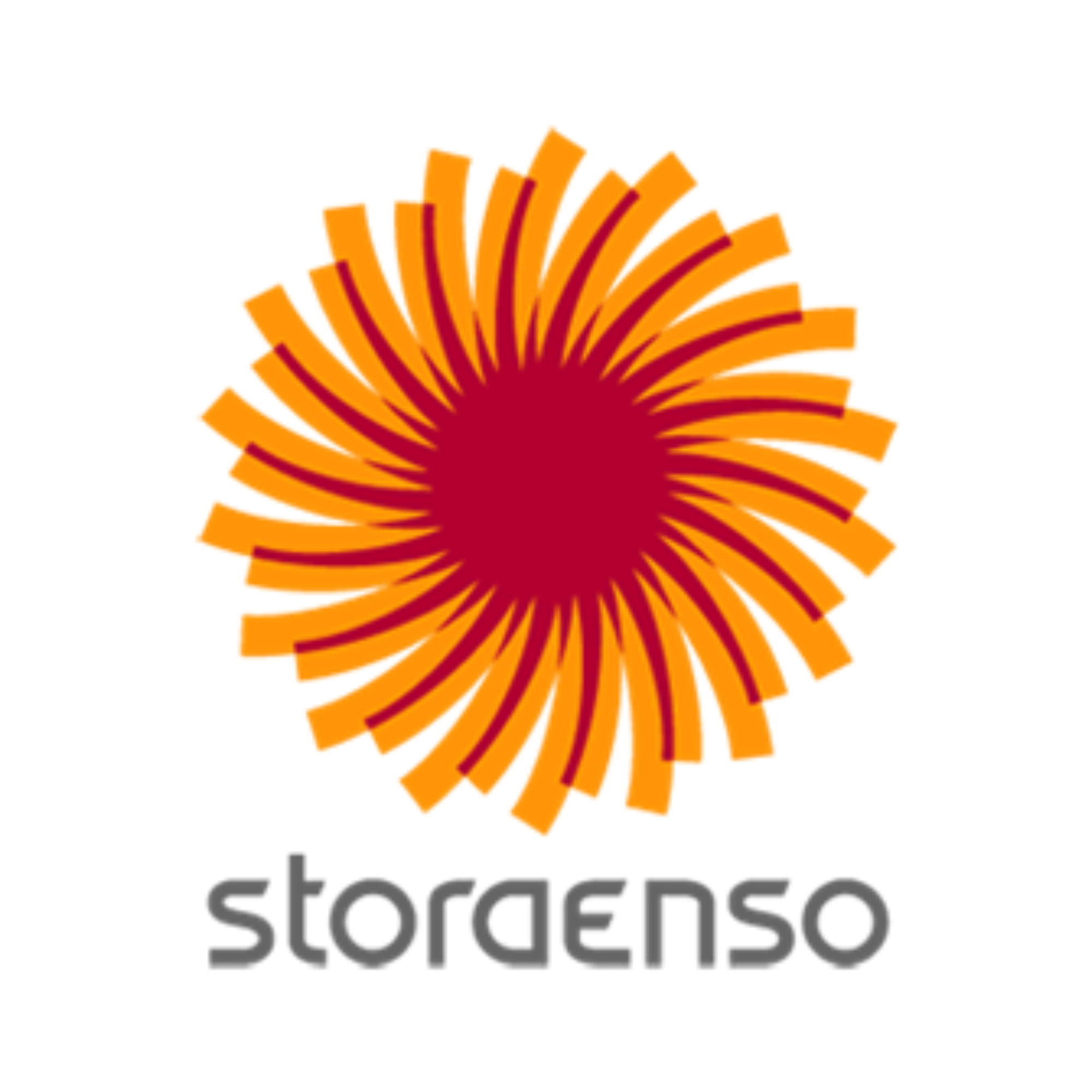 Stora-Enso-logo-wit
